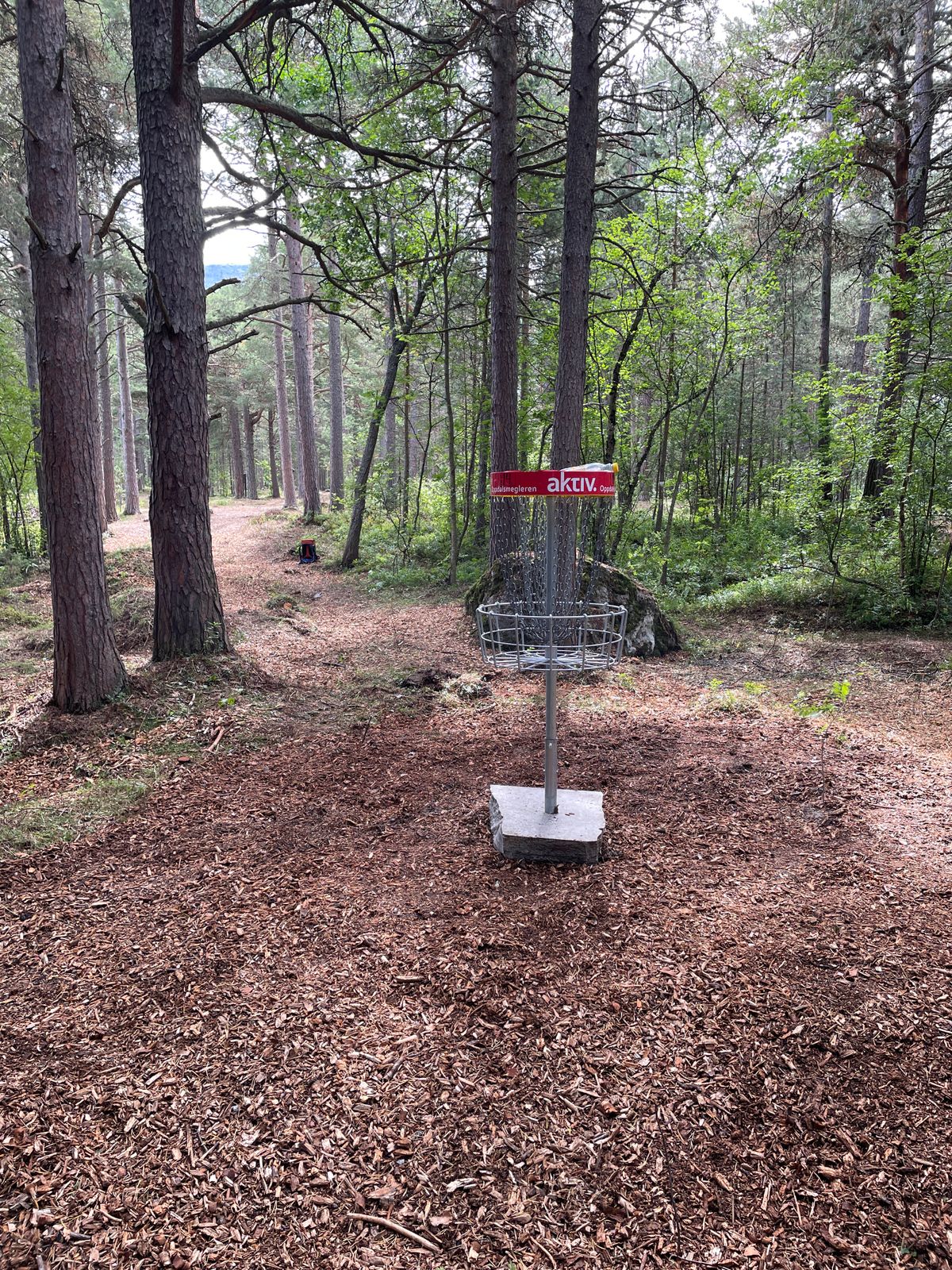 Ny plassering av kurv 14