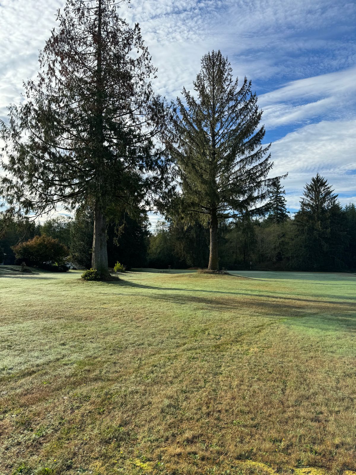 Fairway Hole 4.