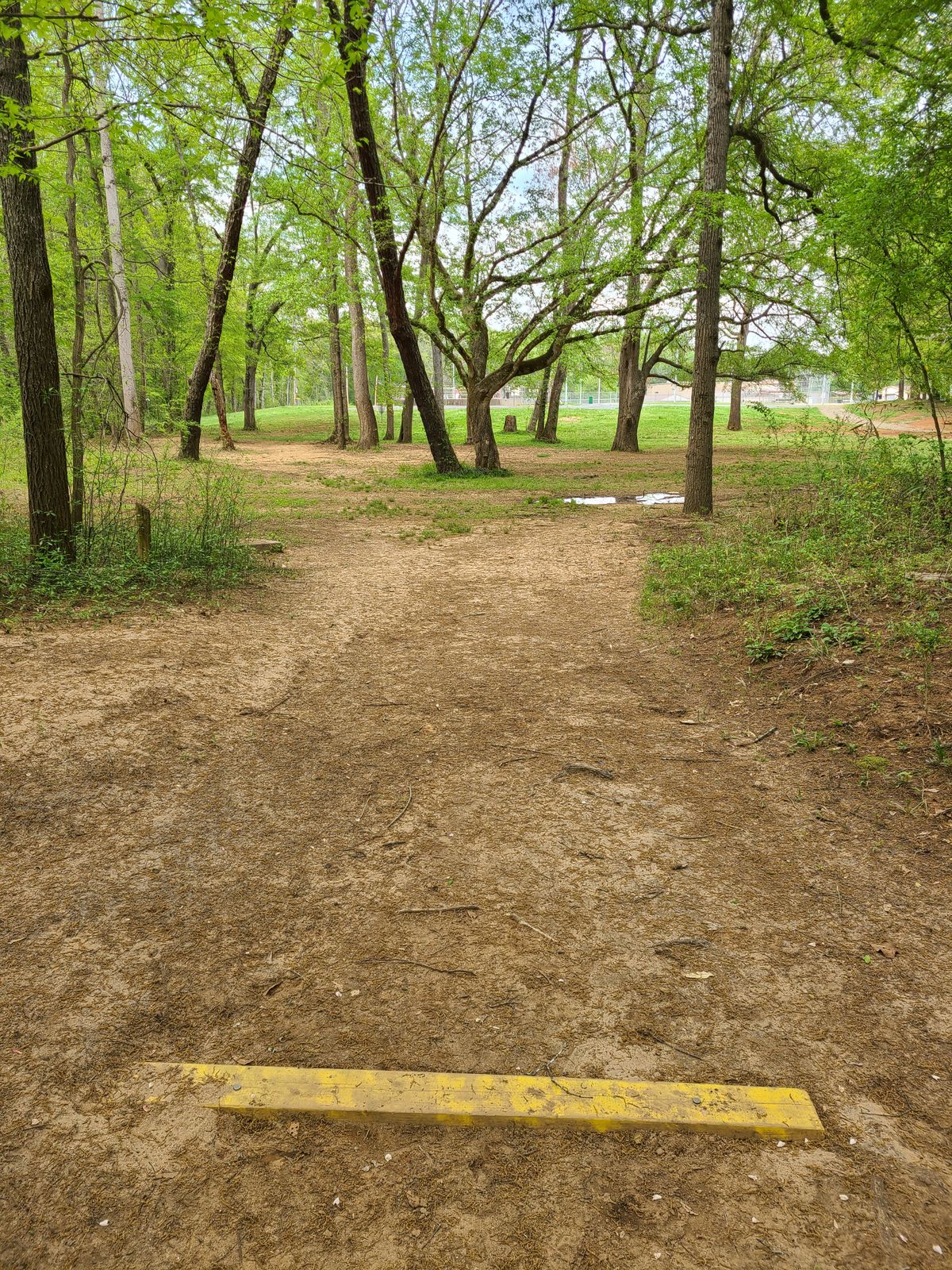 No tee sign for 12. Hole 12 from tee