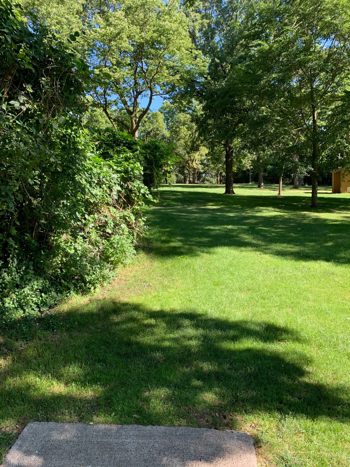 Hole 8