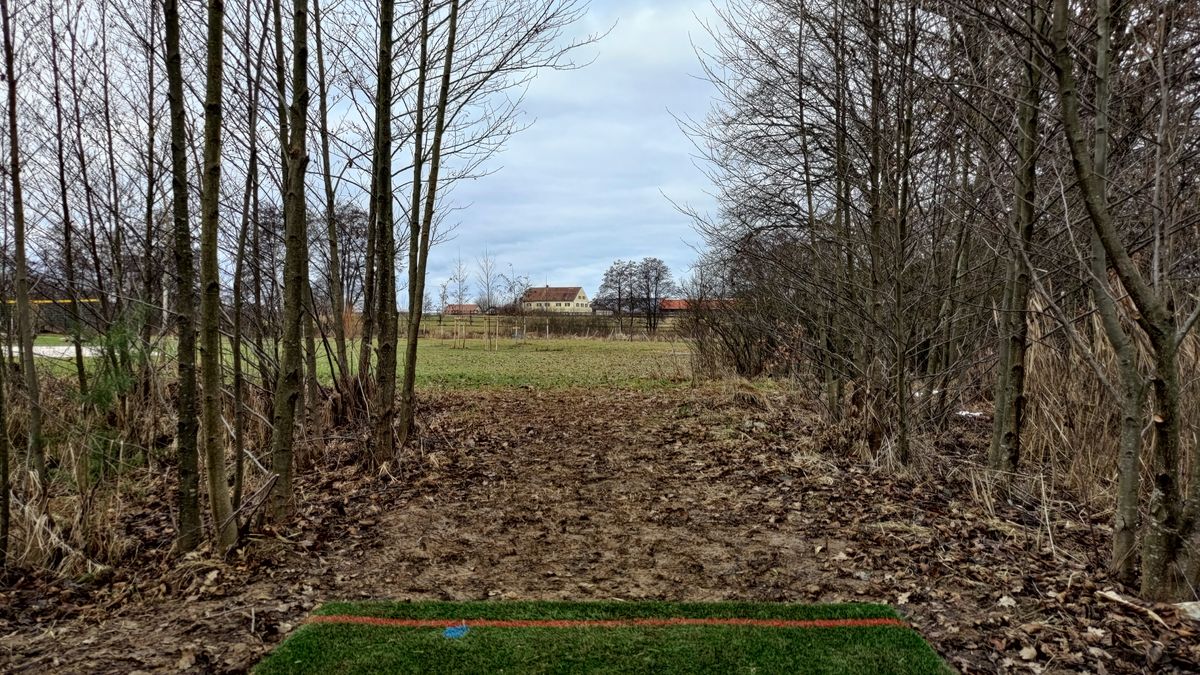 Tee 5 (basket is to the right)