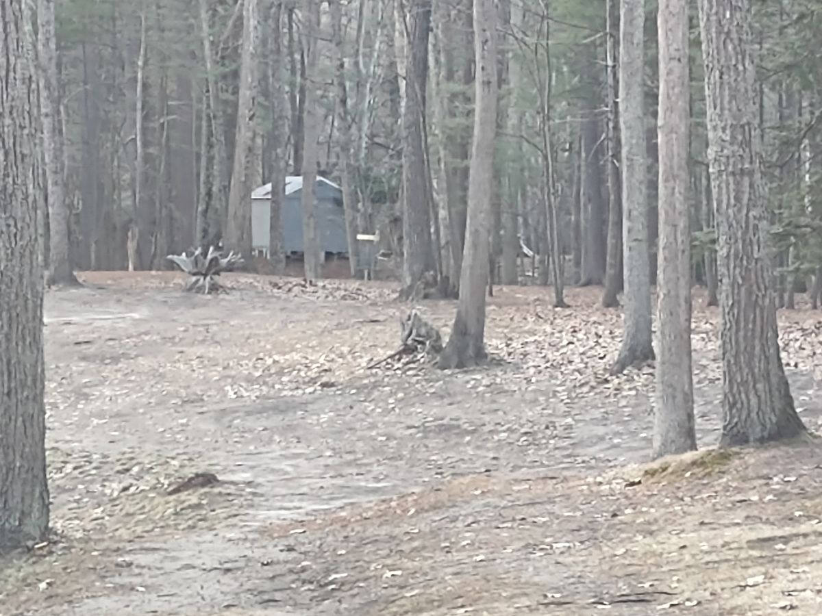 Hole 2