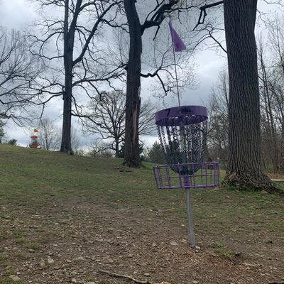 7 purple/short basket to the right, orange/long basket to the left and back