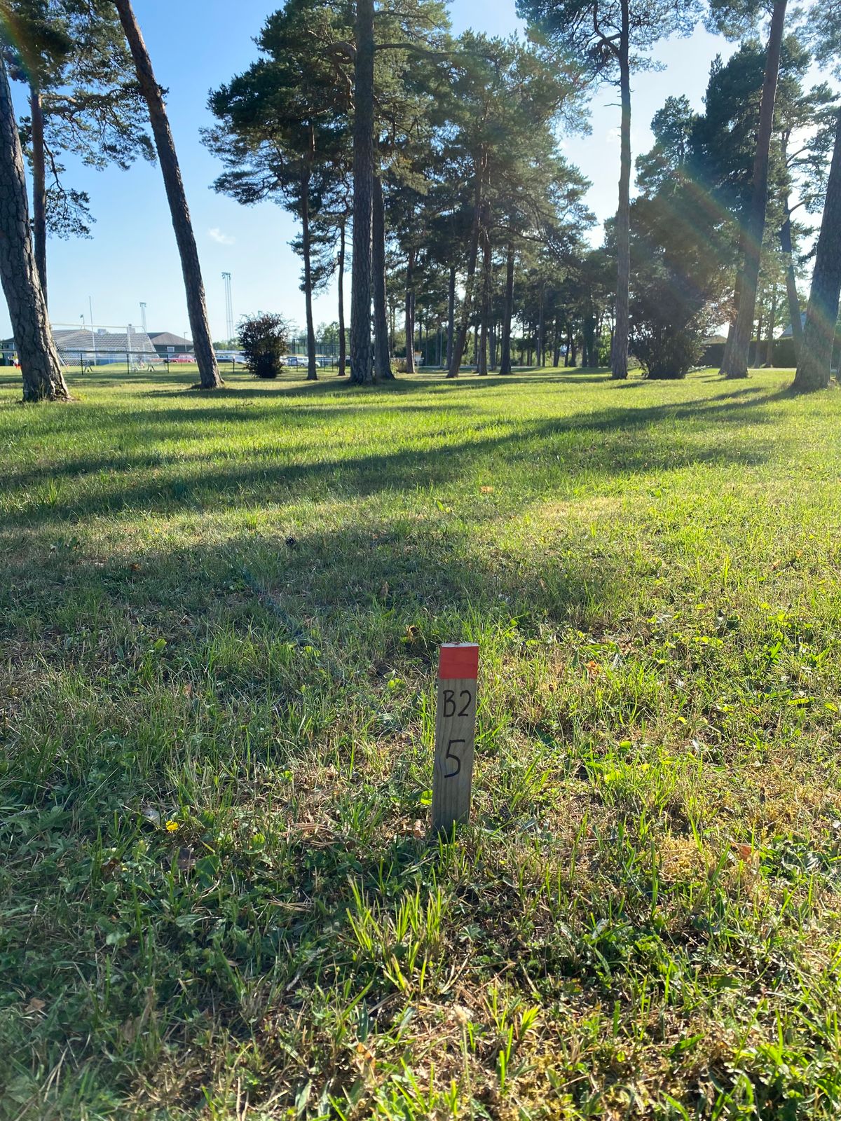 Tee 5