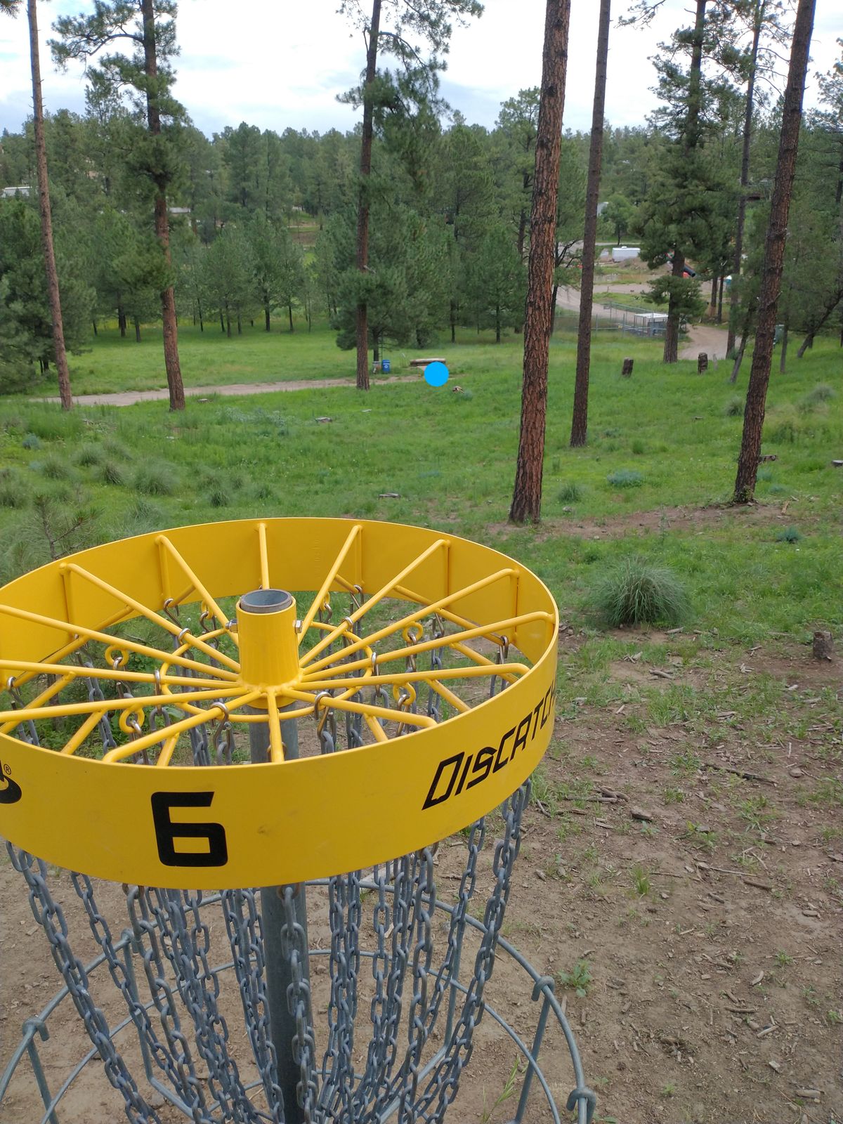 Basket 6