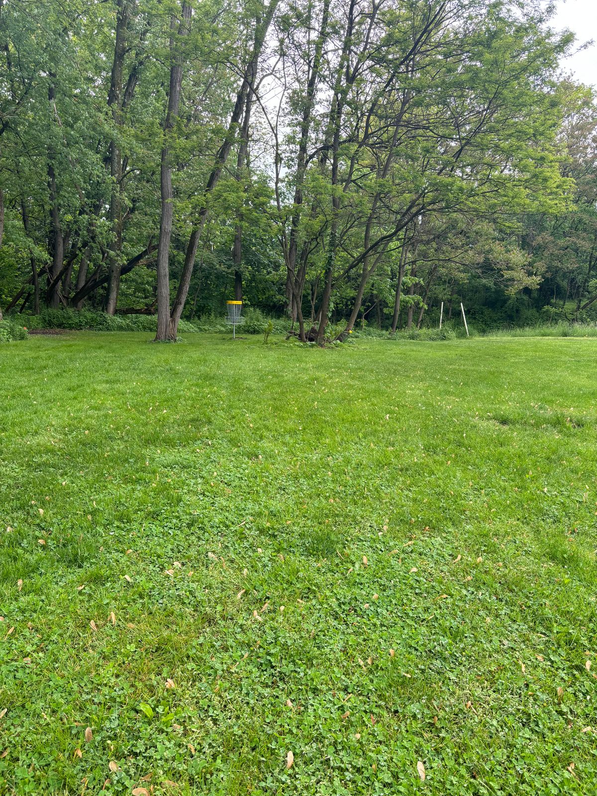 2’s fairway