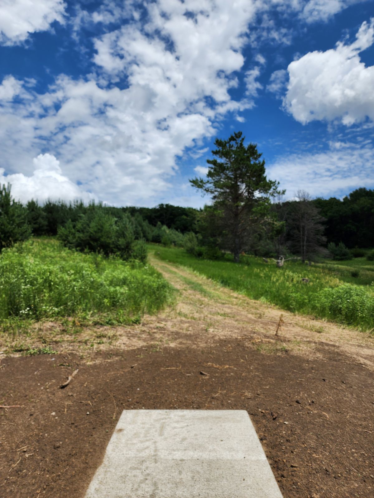 Hole 3