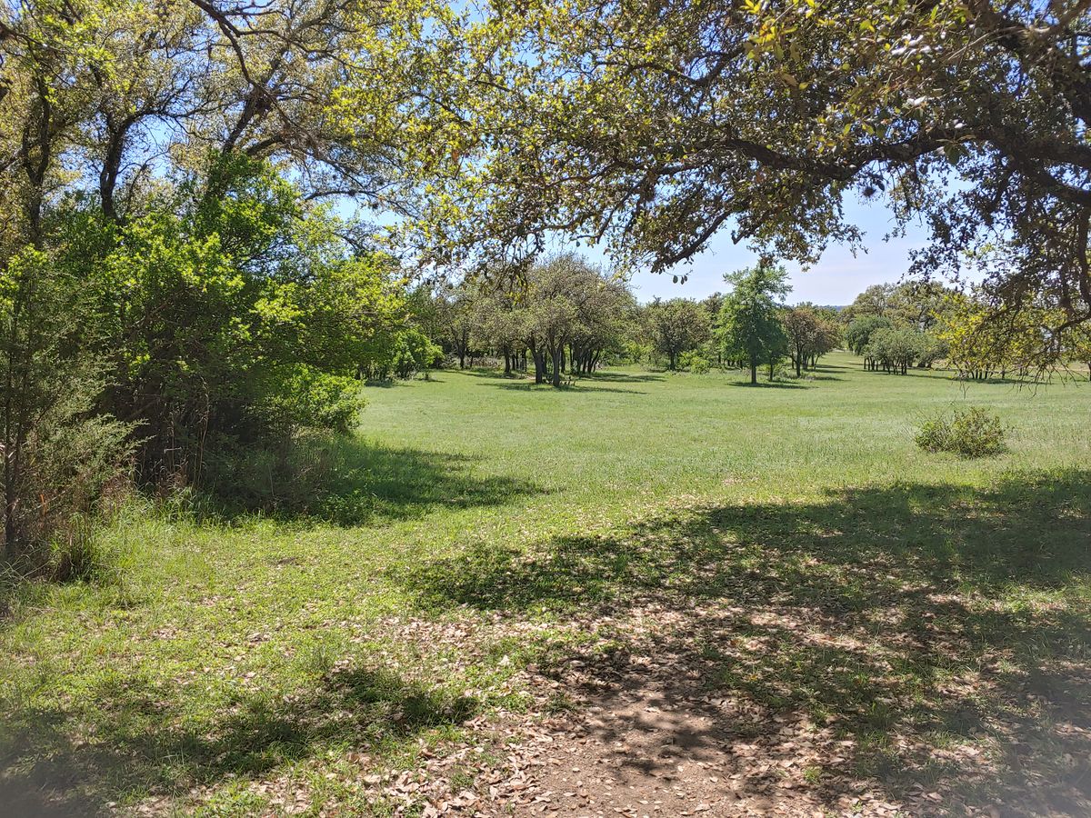 Hole 11 Tee View