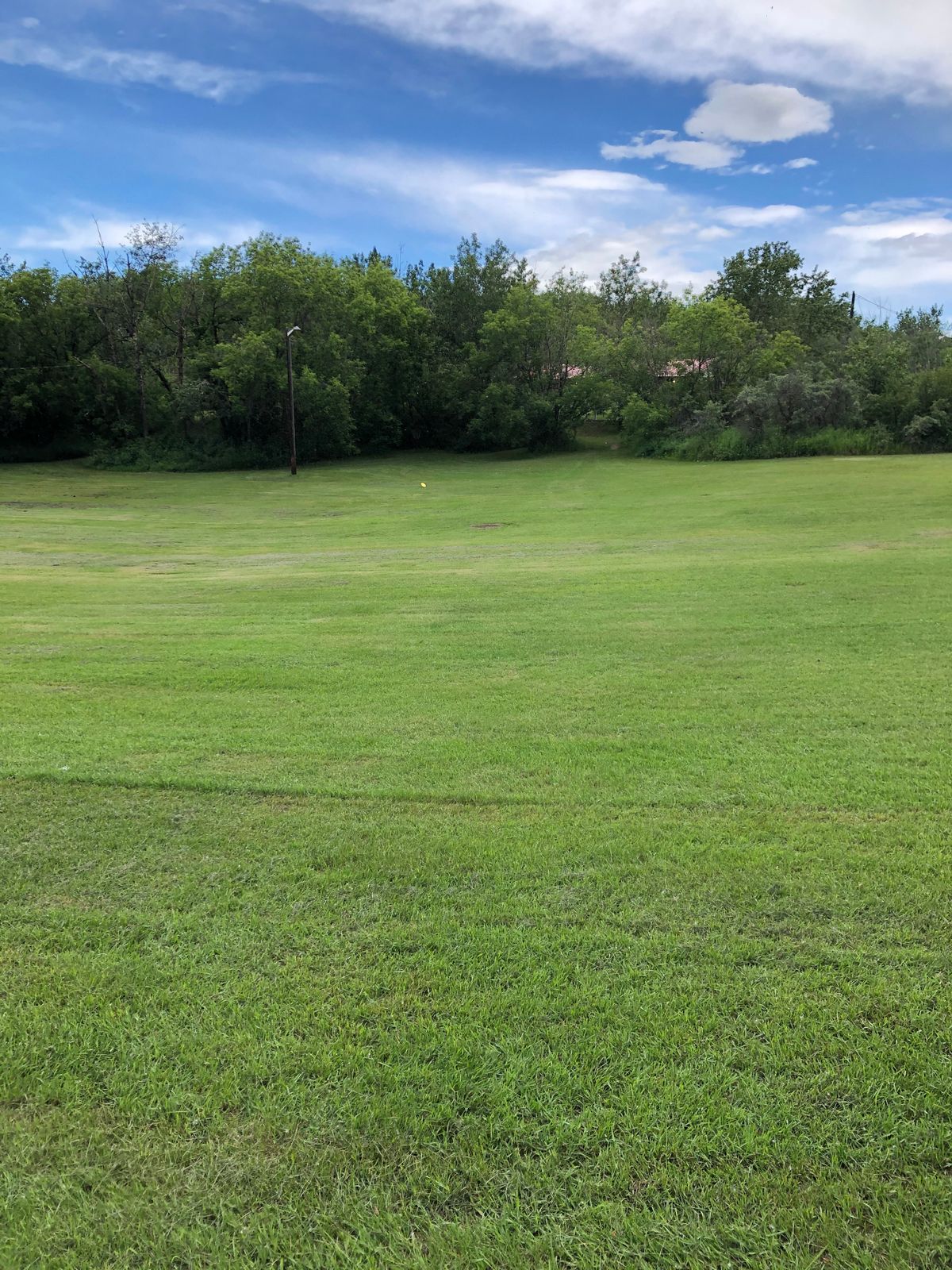 Hole 7. Tee off beside hole 6 basket. Straight across the “bowl” into trees shrub area basket.