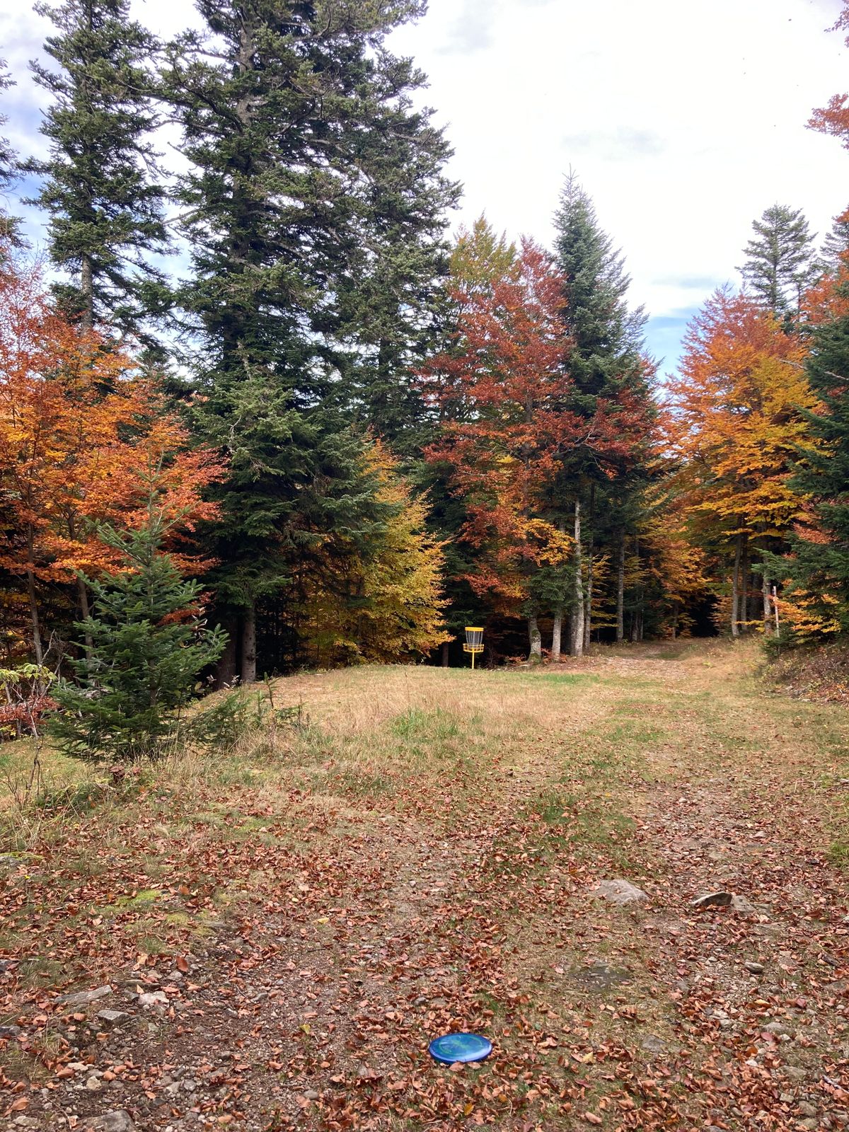 Trou 2 - automne 2024