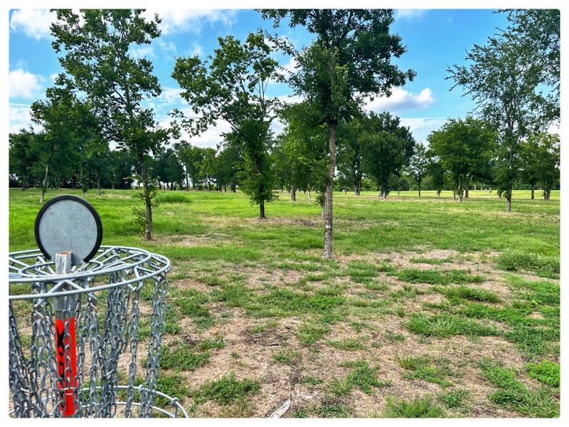 4 basket looking back up fairway