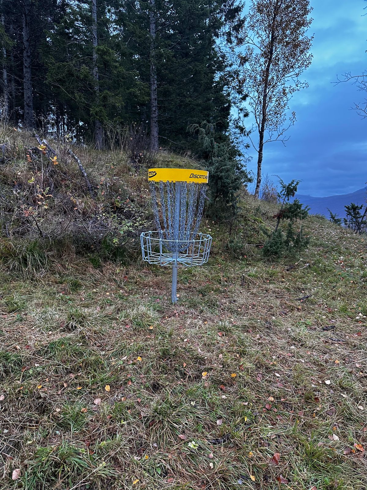 Kurv 6