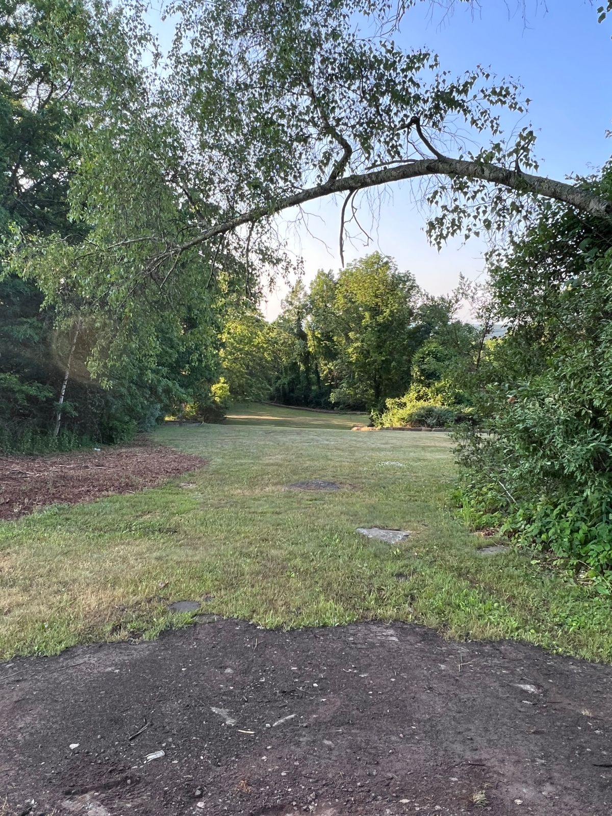 Tee 8