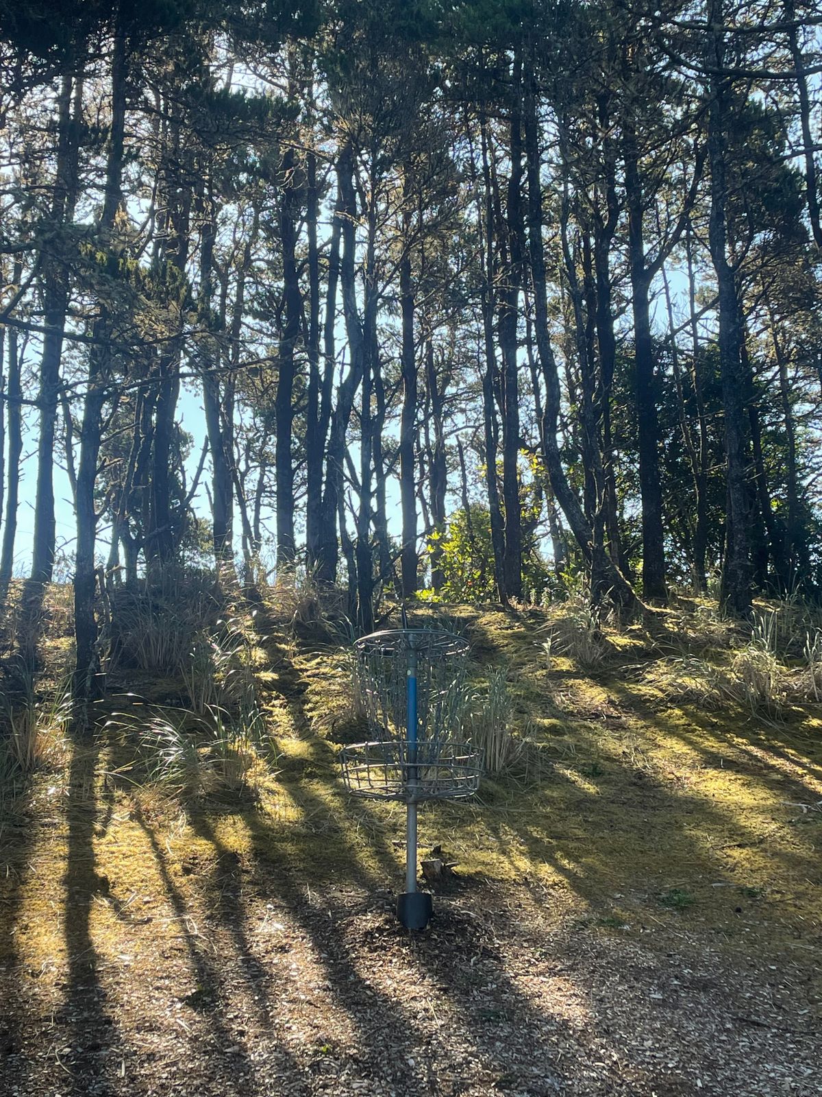 This course is simply magical in the morning!