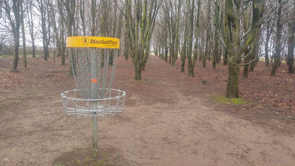 Looking back up the fairway of hole 8 blue/ hole 20