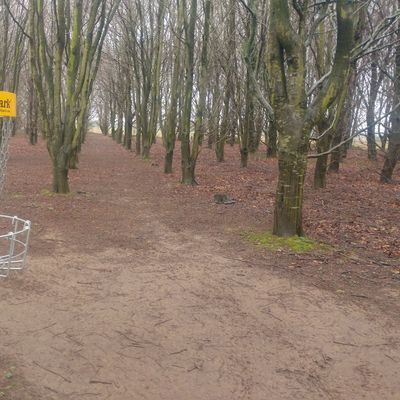 Looking back up the fairway of hole 8 blue/ hole 20