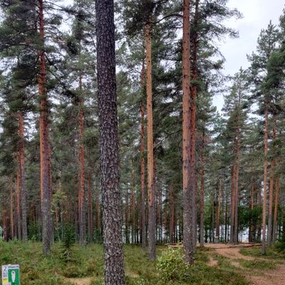 Väylä 2