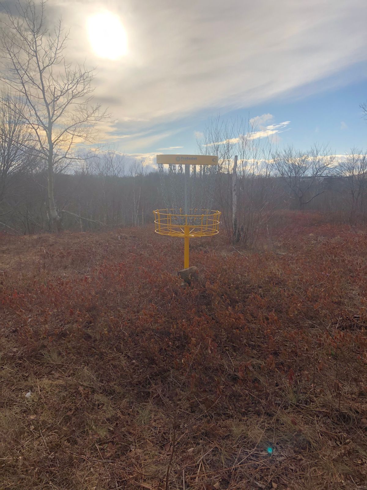 Hole 16 basket Feb 5 2021. Sweater weather in Nova Scotia!