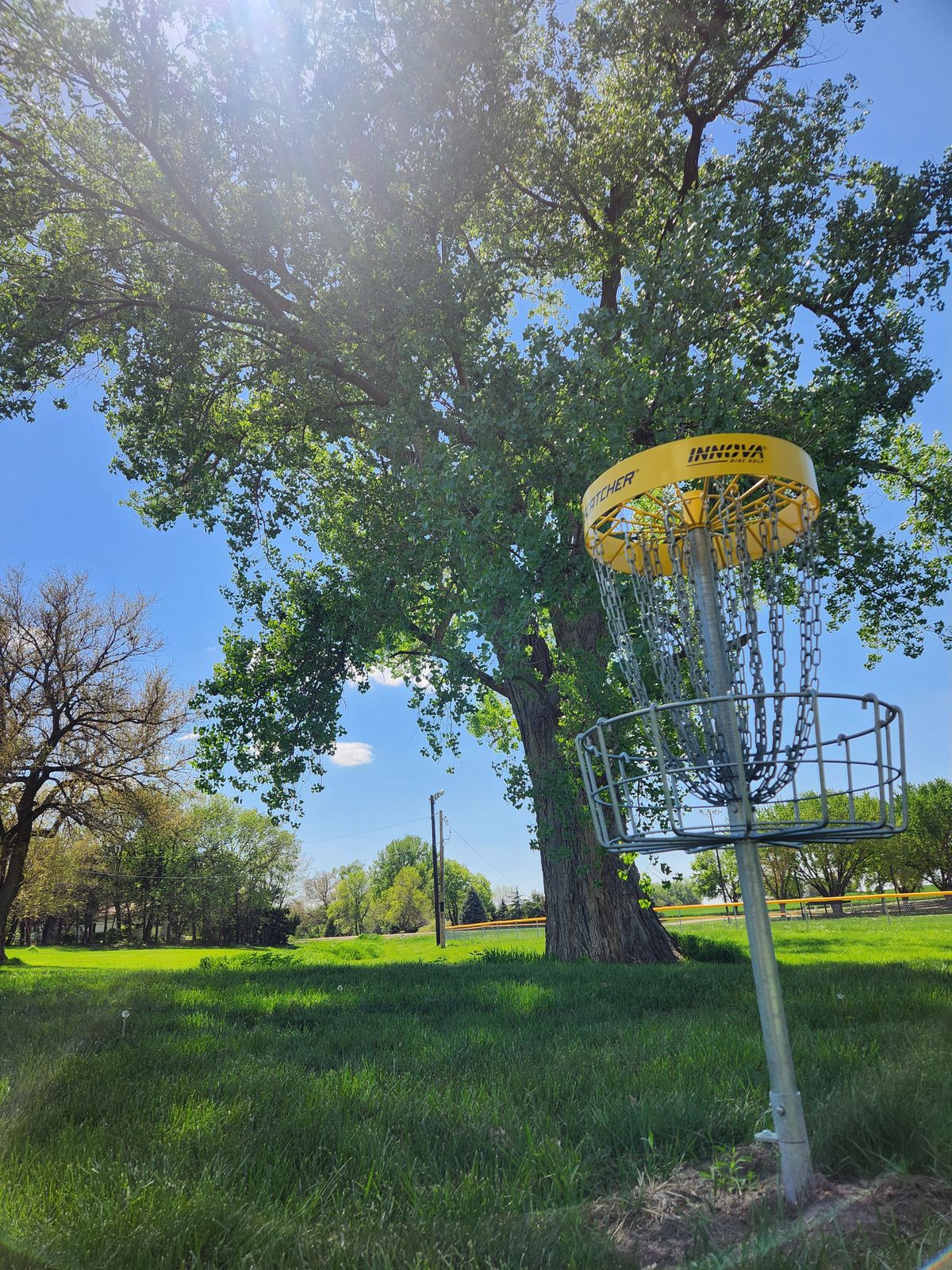 Hole 4 Basket