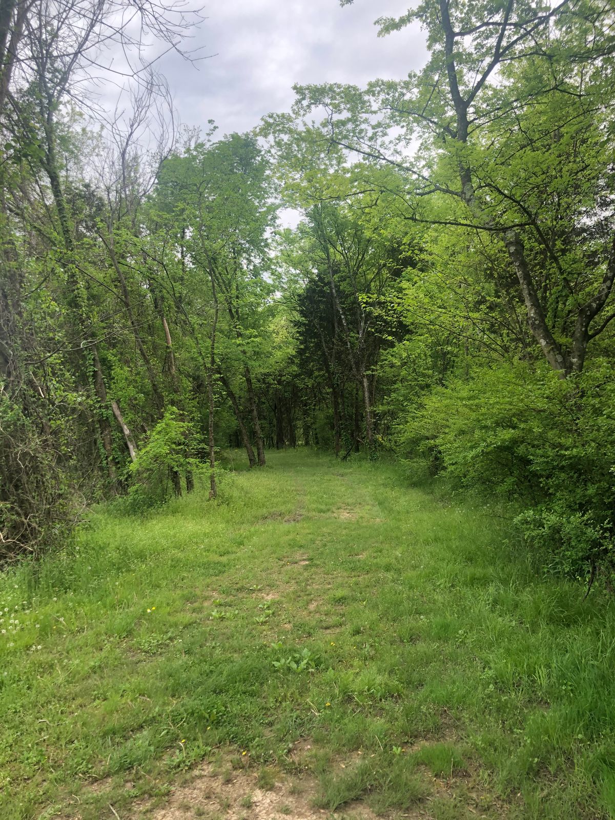 Hole 8