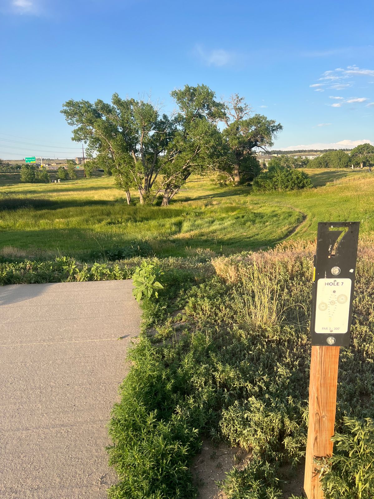 Visually one of the coolest holes! Tree further away than you think so push it!