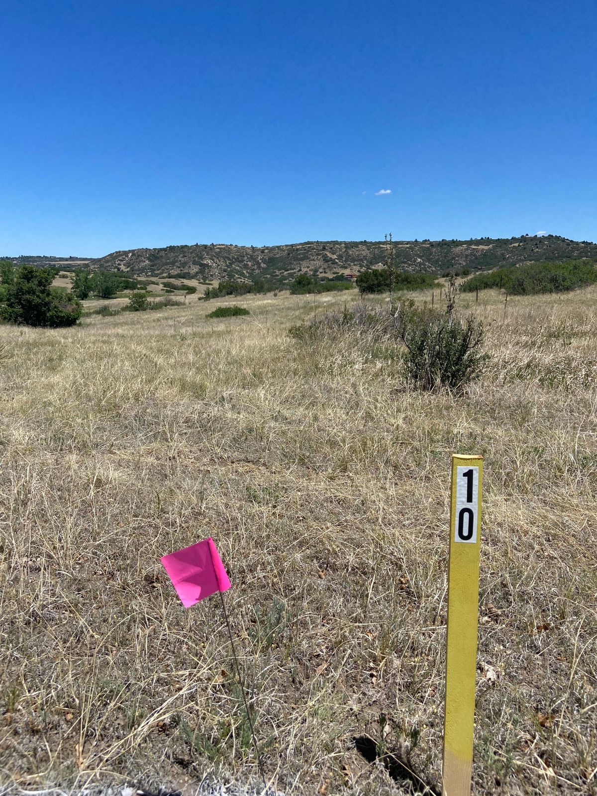 Hole 10 tee to basket