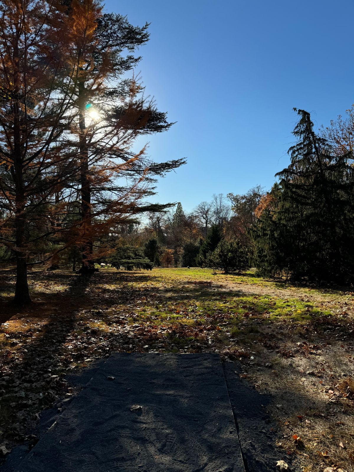 Hole 5 downhill towards Lake Archer