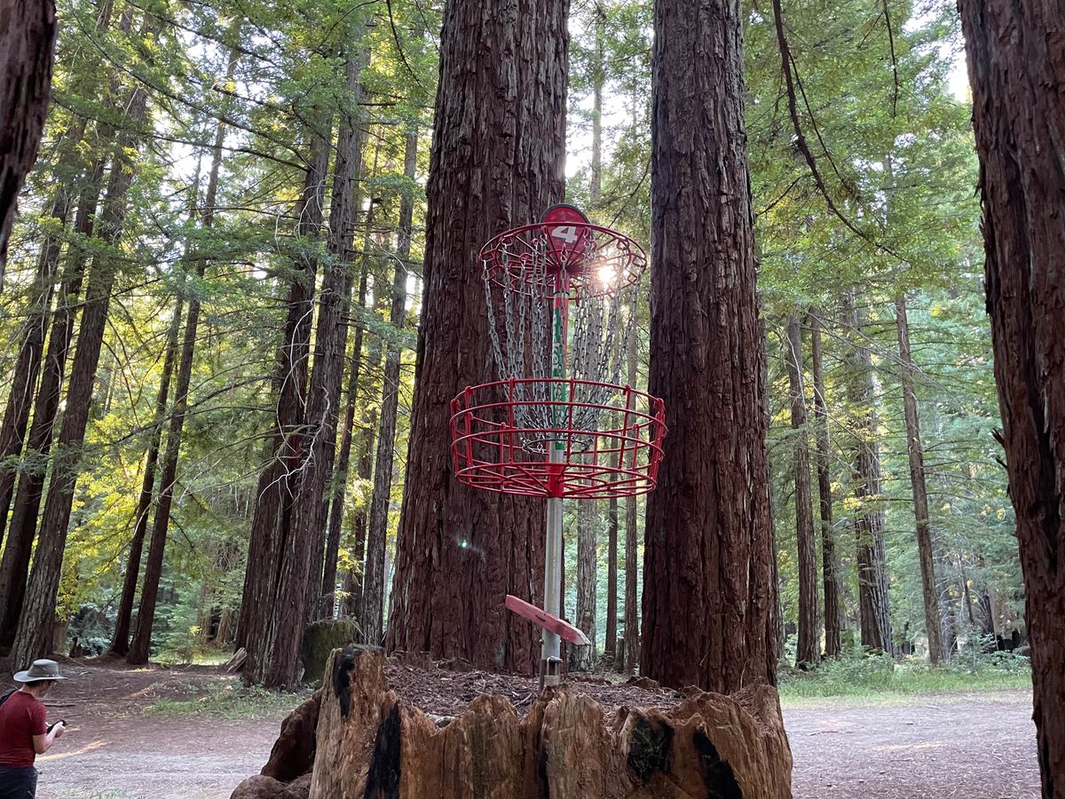 Majestic hole 4 basket placement