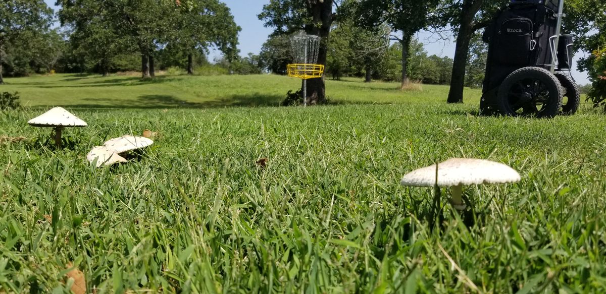 Much room on hole 16