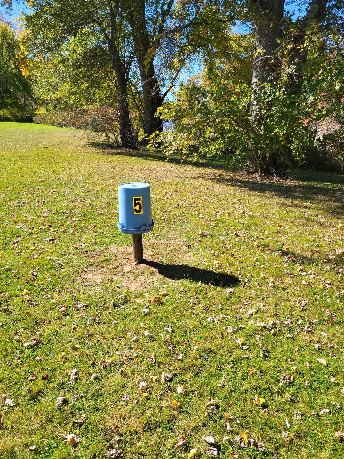 Hole 5 target