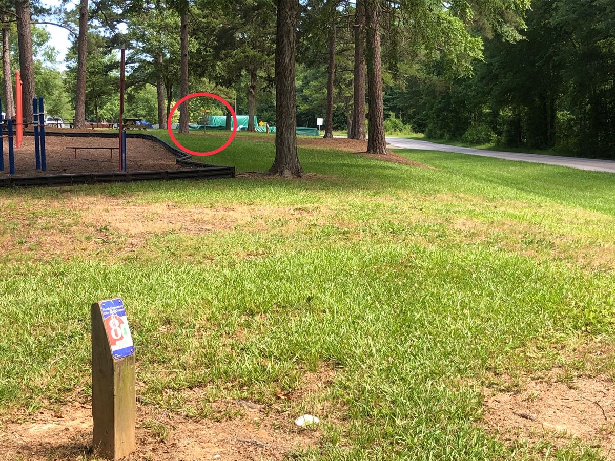 Hole #8 tee
