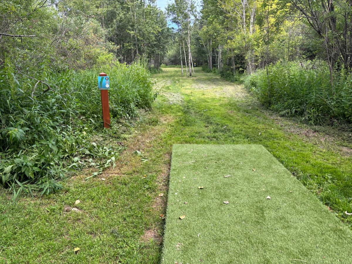 Hole 4 Blue Teepad