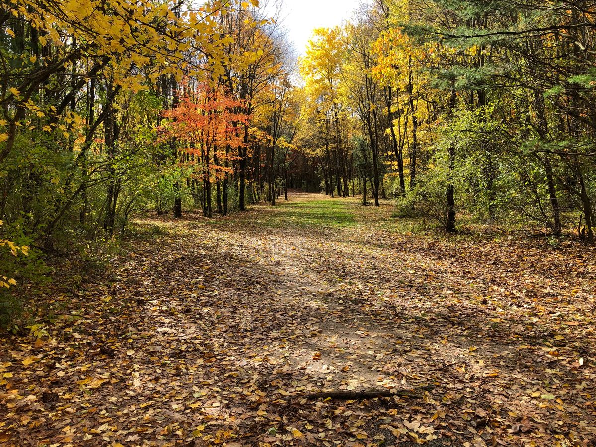 Hole 7 short teepad