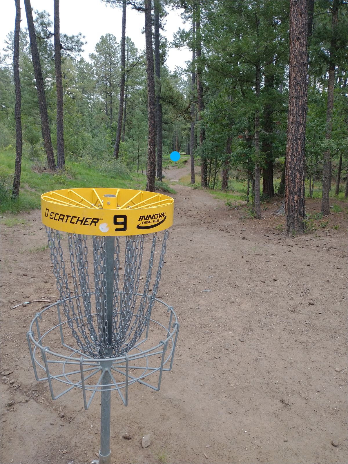 Basket 9