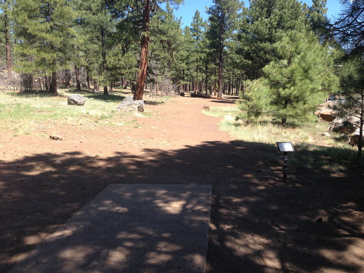 Hole 4