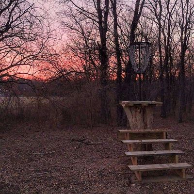 Basket #8 at sunset 