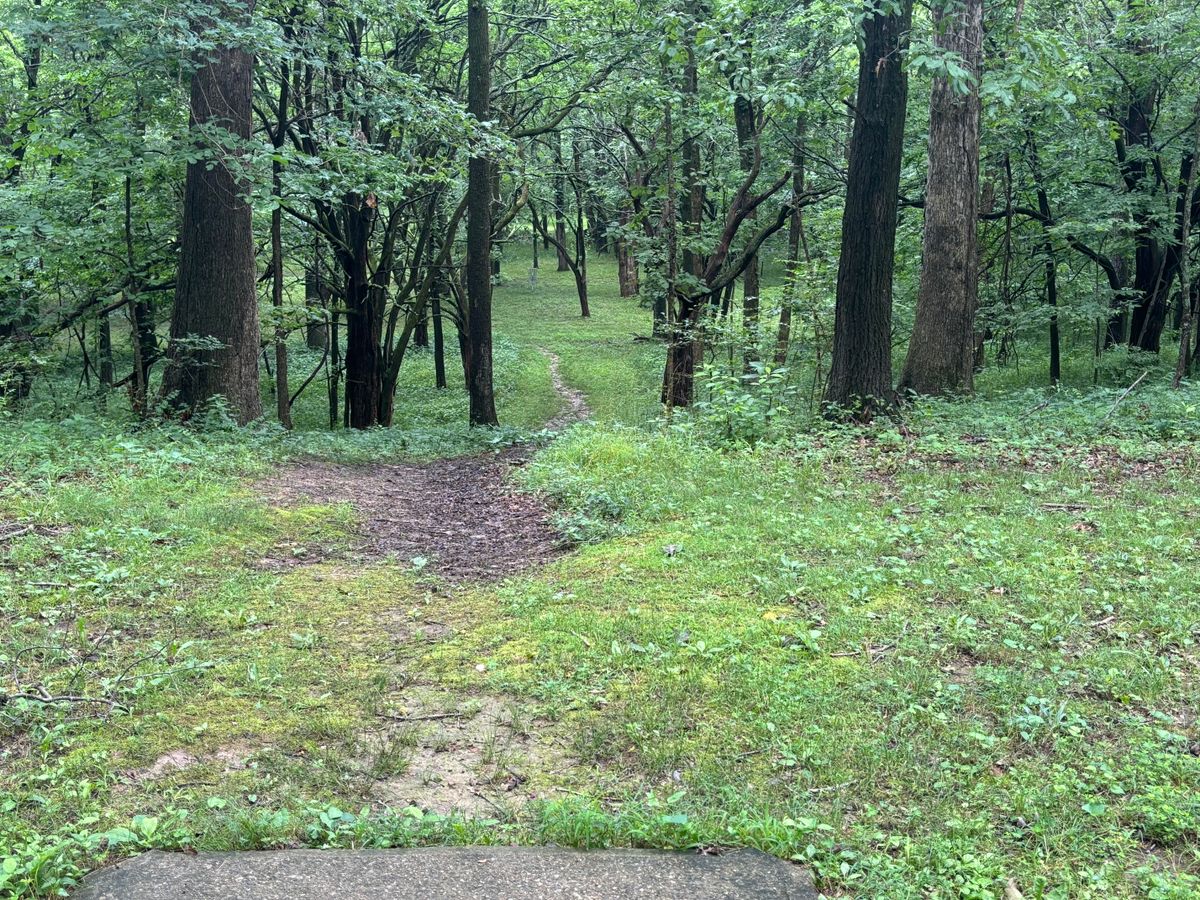 Hole 6 down the hill tunnel