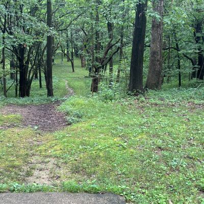Hole 6 down the hill tunnel