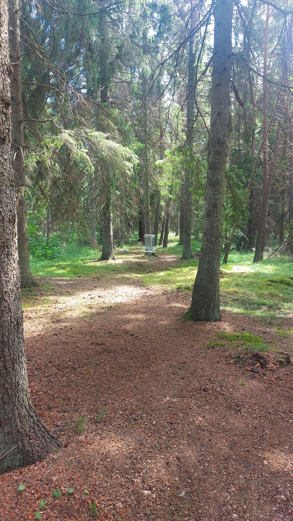 hål 3