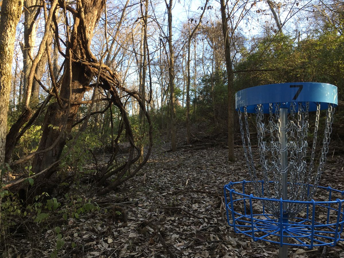 Hole #7 looking back.