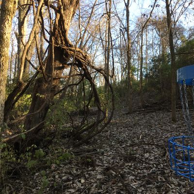 Hole #7 looking back.