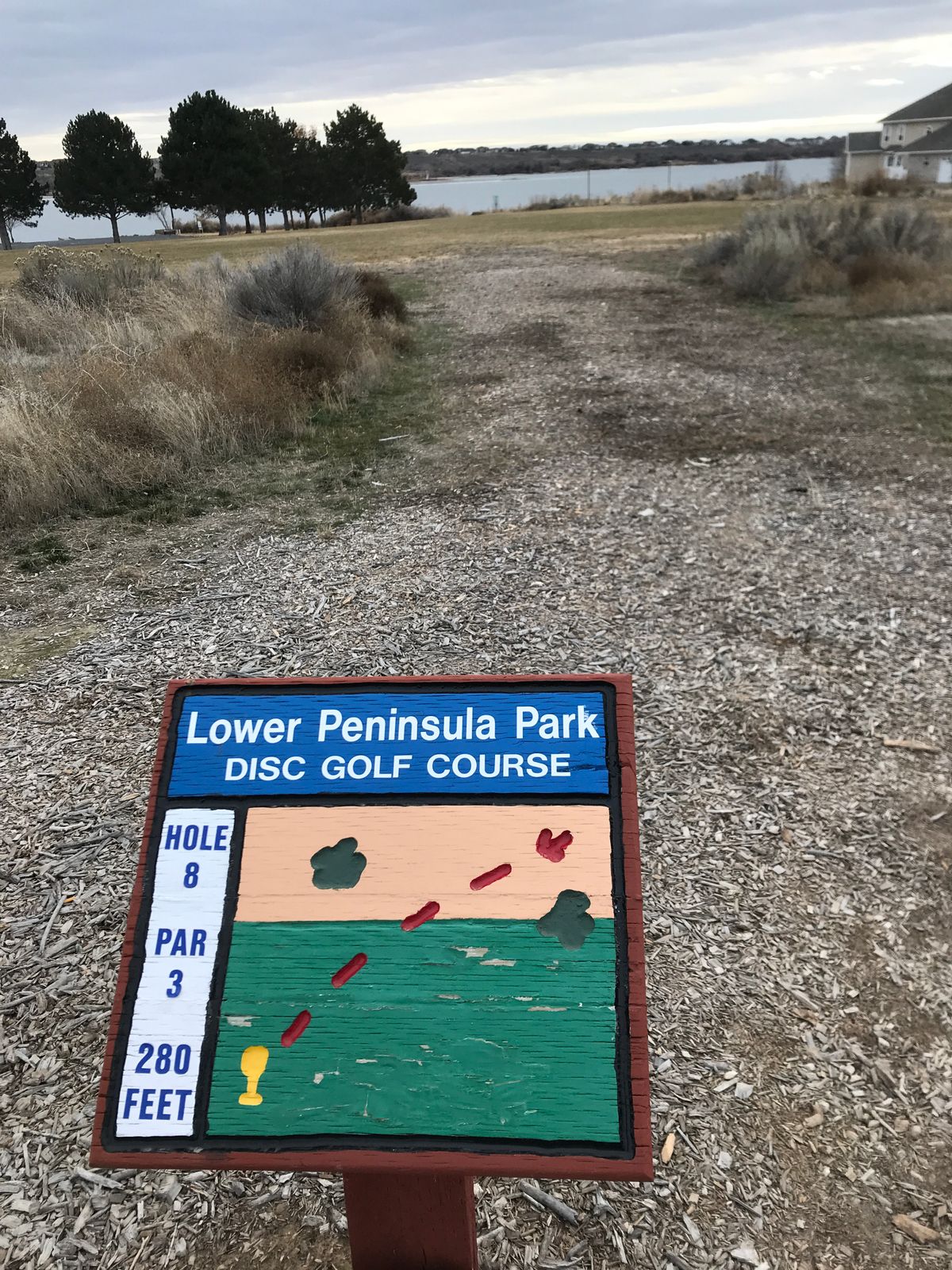 Hole 8, basket straight ahead, slightly downhill.