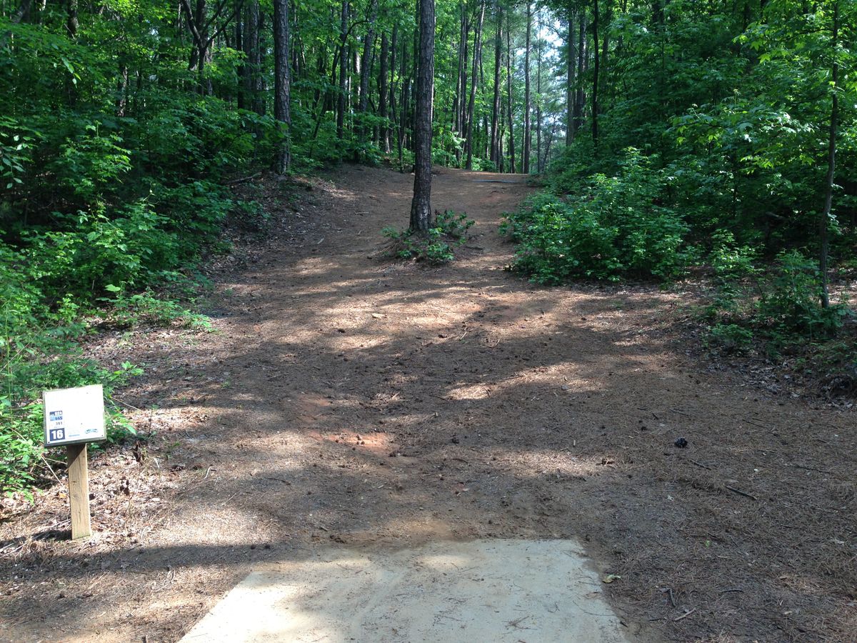 Hole 16 -- long tee