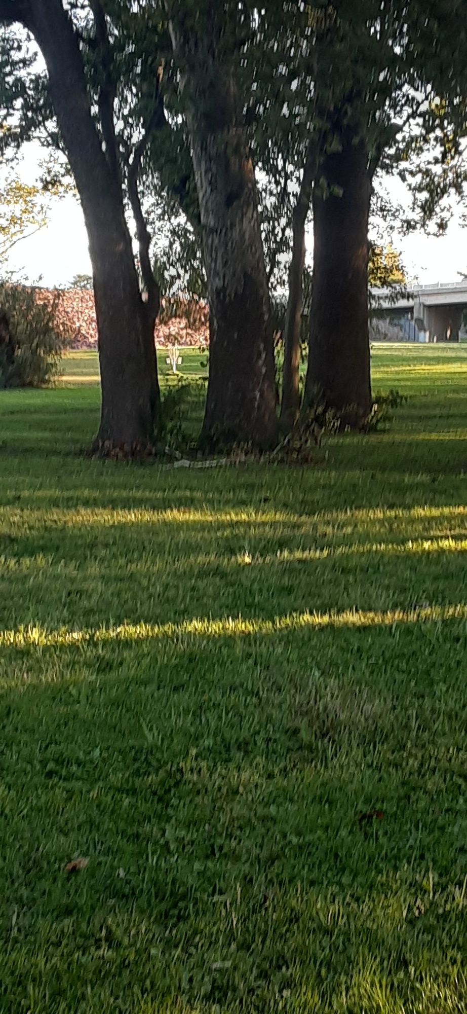 Hole 4 from tee