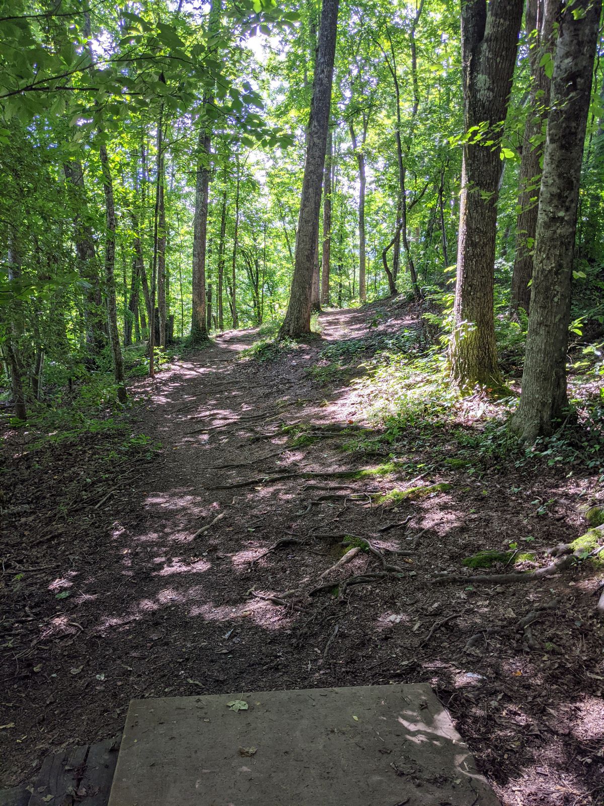 Tee off through the woods, 90° dogleg right hole 2