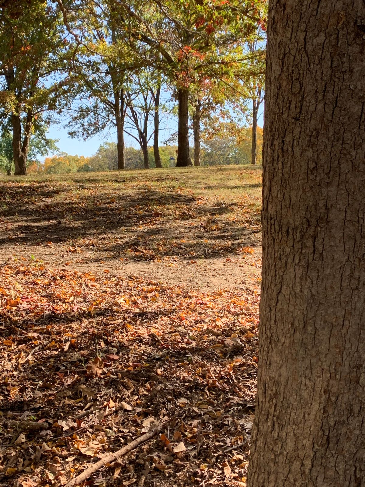 View from top of hill to A pin. 