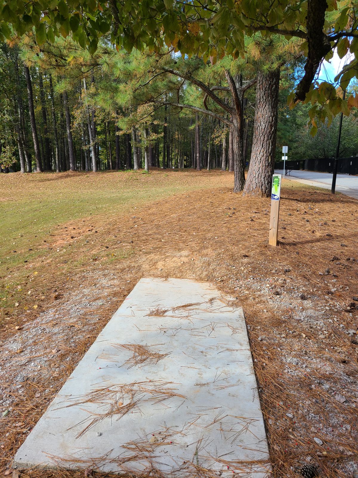 Hole 3 takes you into the woods