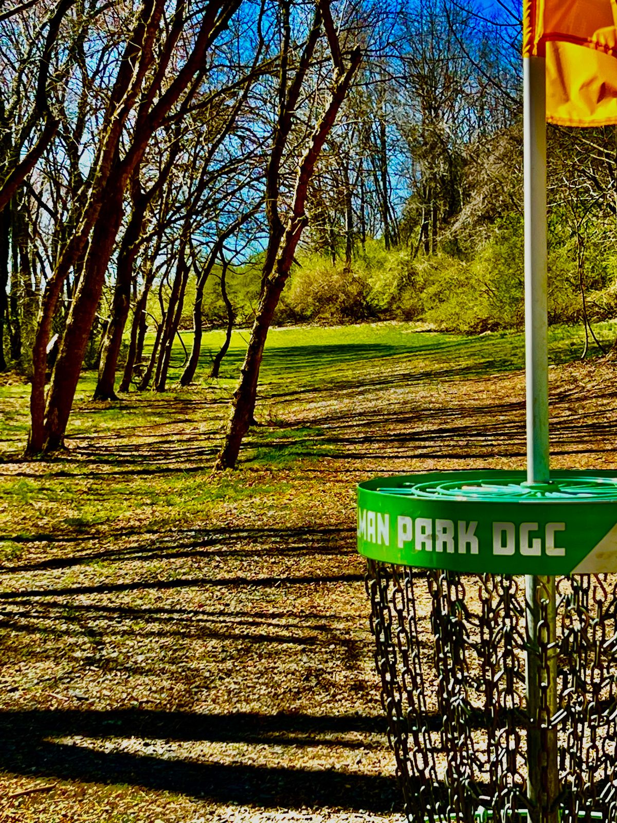 Hole 6 looking back down fairway