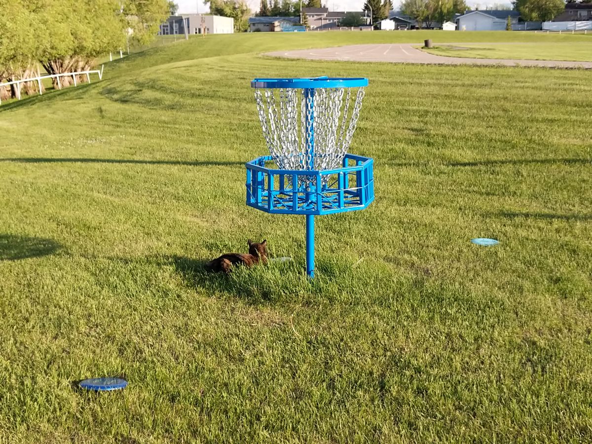 Hole 12