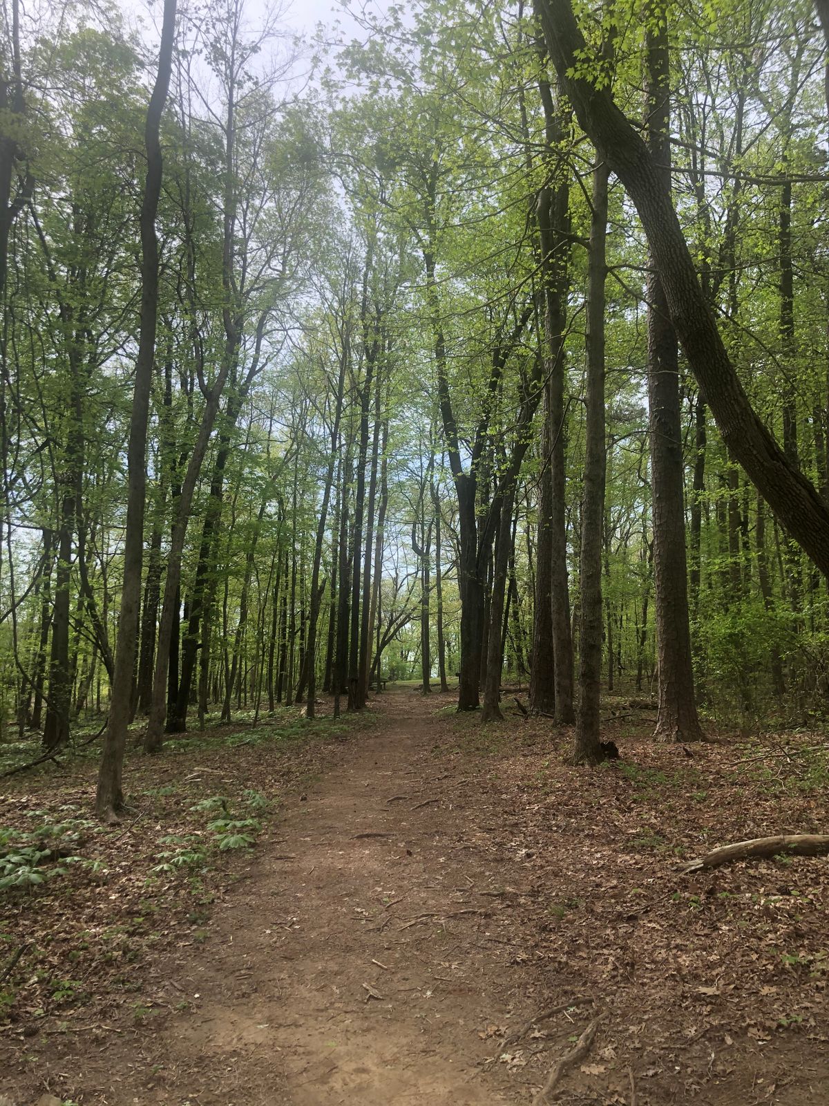 Hole 3